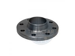 4 PLG BRIDA W/N ANSI 300 RF