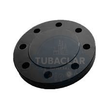 2 PLG BRIDA CIEGA ANSI 300 RF